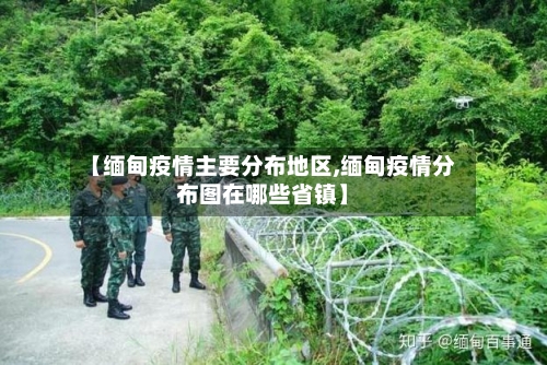 【缅甸疫情主要分布地区,缅甸疫情分布图在哪些省镇】-第3张图片