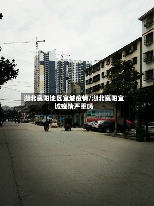 湖北襄阳地区宜城疫情/湖北襄阳宜城疫情严重吗-第2张图片