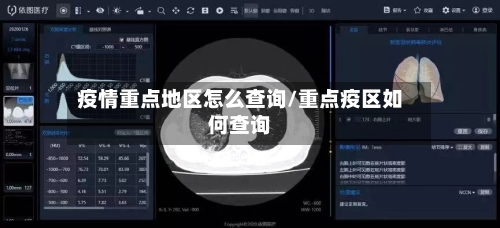 疫情重点地区怎么查询/重点疫区如何查询-第3张图片