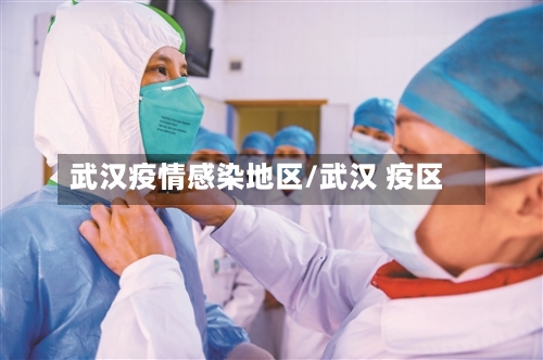 武汉疫情感染地区/武汉 疫区-第2张图片