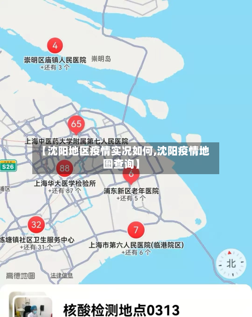 【沈阳地区疫情实况如何,沈阳疫情地图查询】-第1张图片