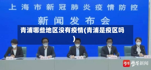 青浦哪些地区没有疫情(青浦是疫区吗)-第3张图片