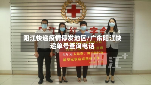 阳江快递疫情停发地区/广东阳江快递单号查询电话-第2张图片